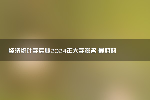 经济统计学专业2024年大学排名 最好的大学排行榜