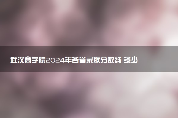 武汉商学院2024年各省录取分数线 多少分能考上