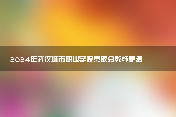 2024年武汉城市职业学院录取分数线是多少 各省最低分数线及位次