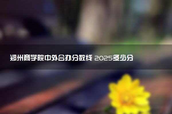 郑州商学院中外合办分数线 2025多少分能录取