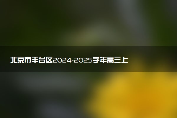 北京市丰台区2024-2025学年高三上学期期末考试试题及答案汇总