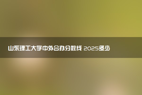 山东理工大学中外合办分数线 2025多少分能录取