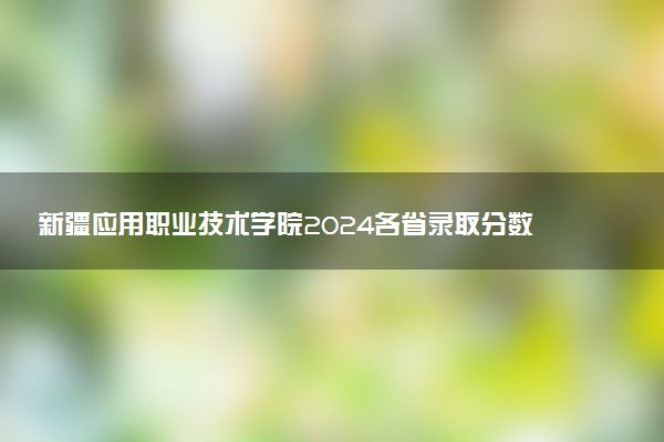 新疆应用职业技术学院2024各省录取分数线及最低位次是多少