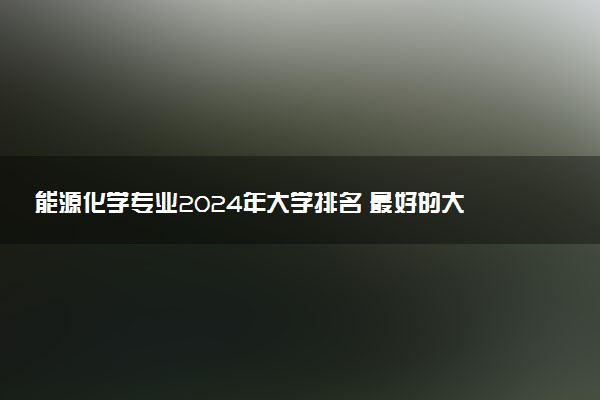 能源化学专业2024年大学排名 最好的大学排行榜