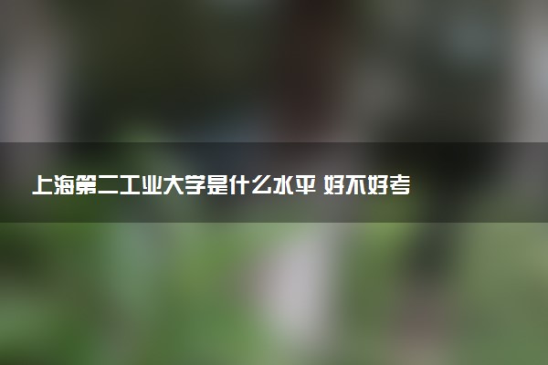 上海第二工业大学是什么水平 好不好考