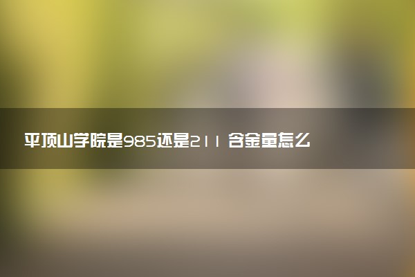 平顶山学院是985还是211 含金量怎么样