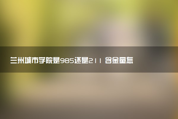 兰州城市学院是985还是211 含金量怎么样