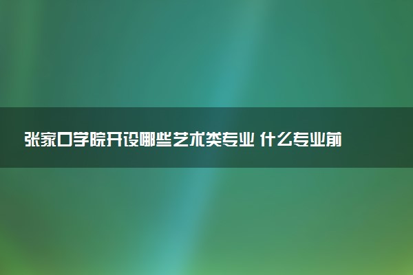 张家口学院开设哪些艺术类专业 什么专业前景好