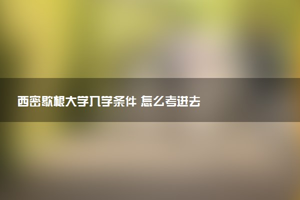 西密歇根大学入学条件 怎么考进去