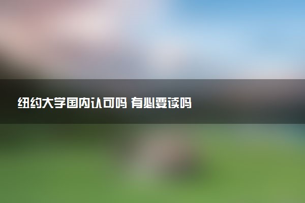 纽约大学国内认可吗 有必要读吗