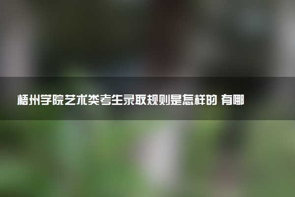 梧州学院艺术类考生录取规则是怎样的 有哪些要求