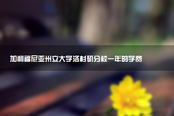 加利福尼亚州立大学洛杉矶分校一年的学费 提供哪些奖学金