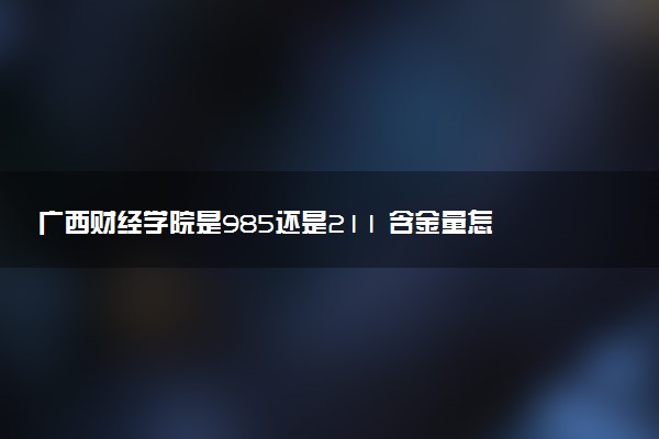 广西财经学院是985还是211 含金量怎么样