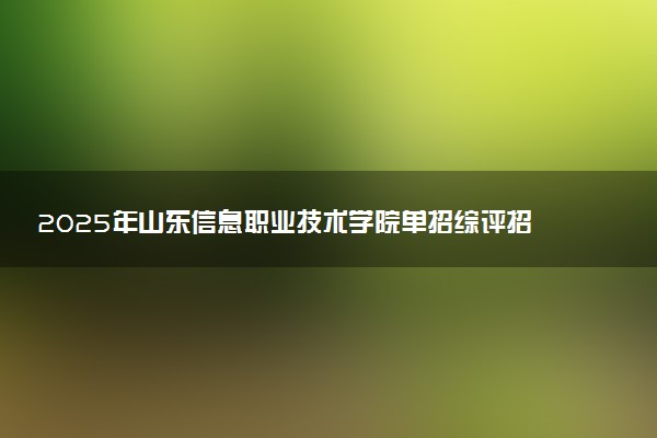 2025年山东信息职业技术学院单招综评招生计划及专业