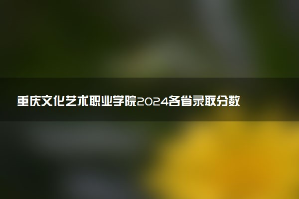 重庆文化艺术职业学院2024各省录取分数线及最低位次是多少