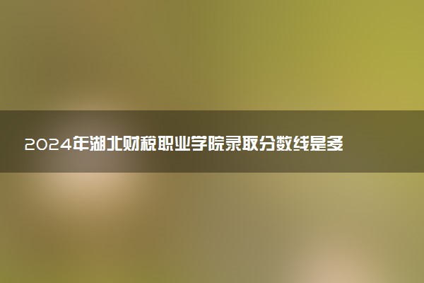 2024年湖北财税职业学院录取分数线是多少 各省最低分数线及位次