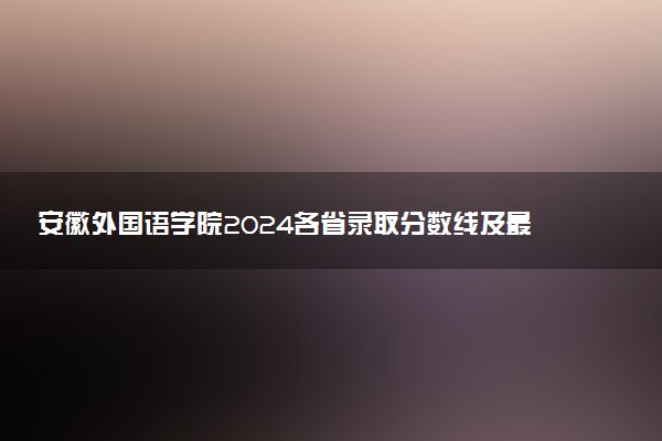 安徽外国语学院2024各省录取分数线及最低位次是多少