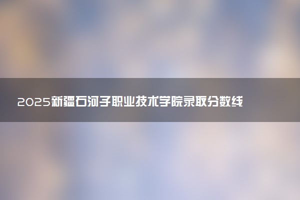 2025新疆石河子职业技术学院录取分数线是多少 各省最低分数线汇总