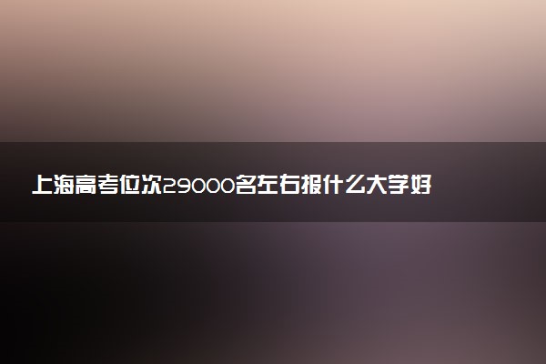 上海高考位次29000名左右报什么大学好（2025年参考）