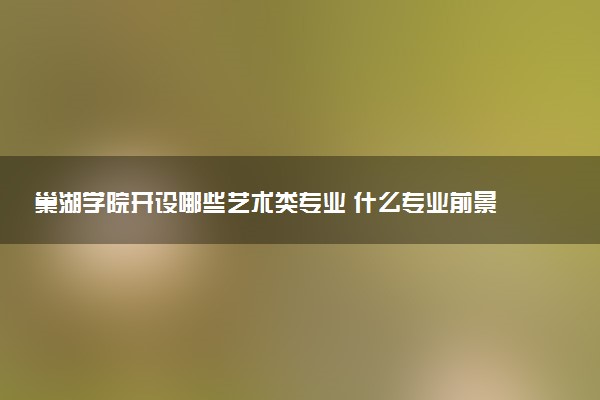 巢湖学院开设哪些艺术类专业 什么专业前景好