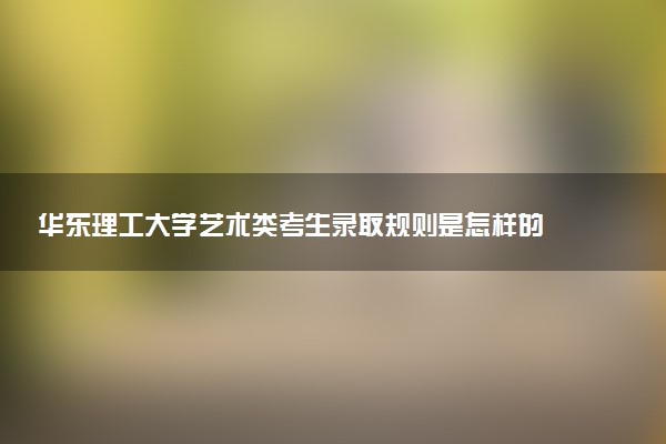 华东理工大学艺术类考生录取规则是怎样的 有哪些要求