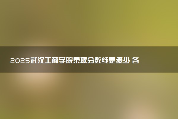 2025武汉工商学院录取分数线是多少 各省最低分数线汇总