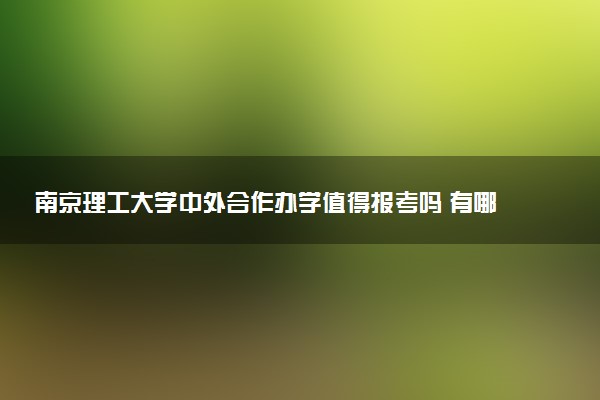 南京理工大学中外合作办学值得报考吗 有哪些优势