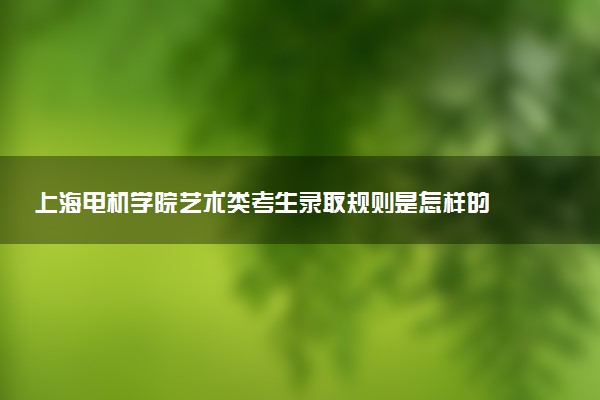 上海电机学院艺术类考生录取规则是怎样的 有哪些要求