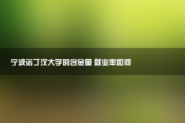 宁波诺丁汉大学的含金量 就业率如何