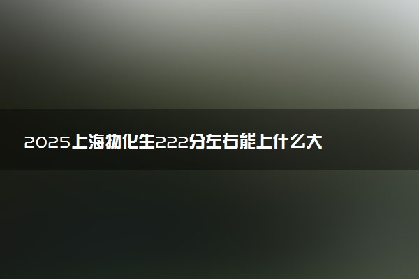 2025上海物化生222分左右能上什么大学 可以报考的院校名单