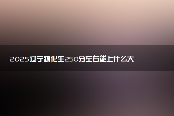 2025辽宁物化生250分左右能上什么大学 可以报考的院校名单