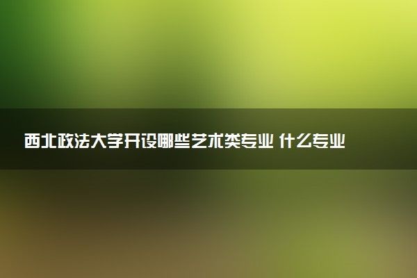 西北政法大学开设哪些艺术类专业 什么专业前景好