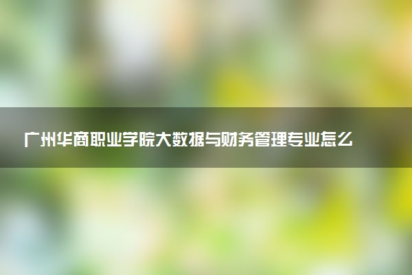 广州华商职业学院大数据与财务管理专业怎么样 录取分数线多少