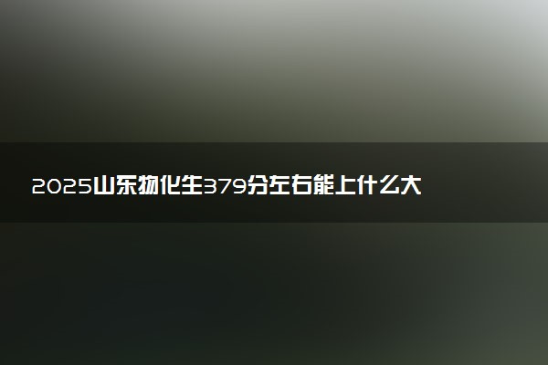 2025山东物化生379分左右能上什么大学 可以报考的院校名单