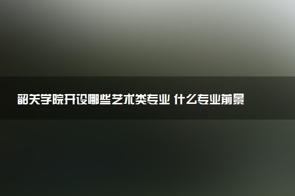 韶关学院开设哪些艺术类专业 什么专业前景好