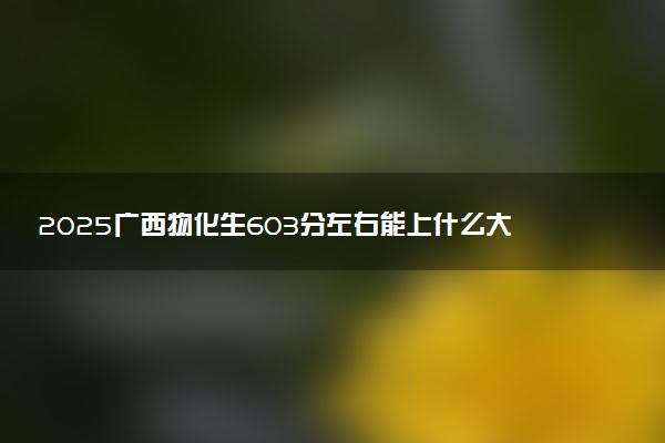 2025广西物化生603分左右能上什么大学 可以报考的院校名单