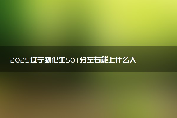 2025辽宁物化生501分左右能上什么大学 可以报考的院校名单