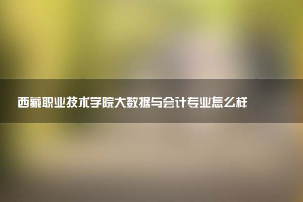 西藏职业技术学院大数据与会计专业怎么样 录取分数线多少