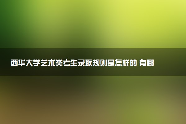 西华大学艺术类考生录取规则是怎样的 有哪些要求