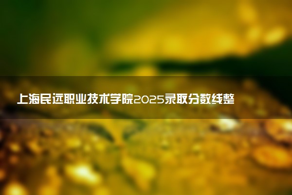 上海民远职业技术学院2025录取分数线整理 最低多少分可以考上