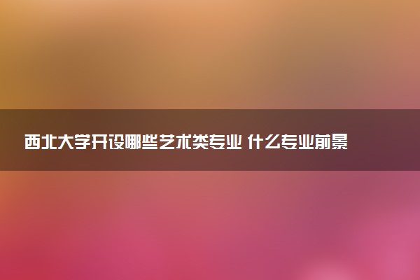 西北大学开设哪些艺术类专业 什么专业前景好