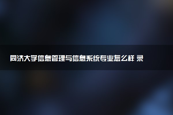 同济大学信息管理与信息系统专业怎么样 录取分数线多少