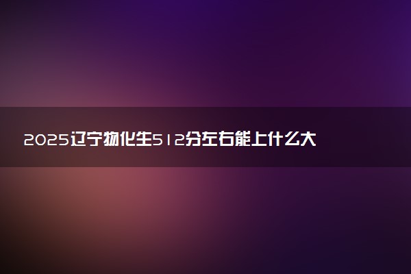 2025辽宁物化生512分左右能上什么大学 可以报考的院校名单