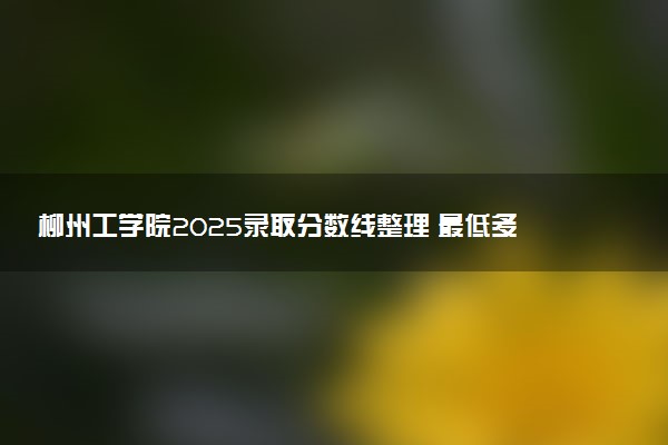 柳州工学院2025录取分数线整理 最低多少分可以考上