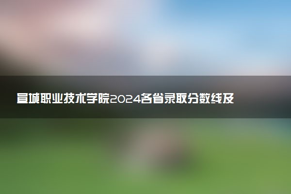 宣城职业技术学院2024各省录取分数线及最低位次是多少