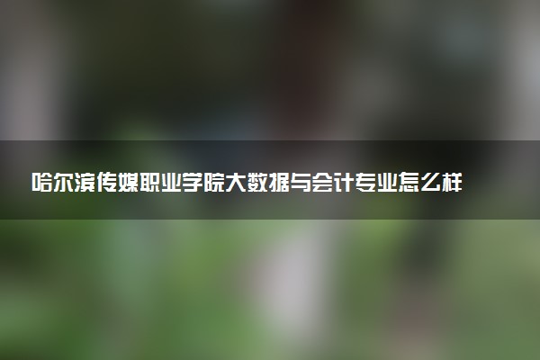 哈尔滨传媒职业学院大数据与会计专业怎么样 录取分数线多少