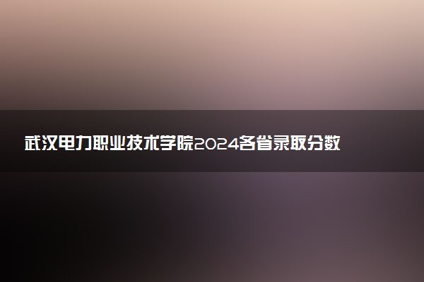 武汉电力职业技术学院2024各省录取分数线及最低位次是多少