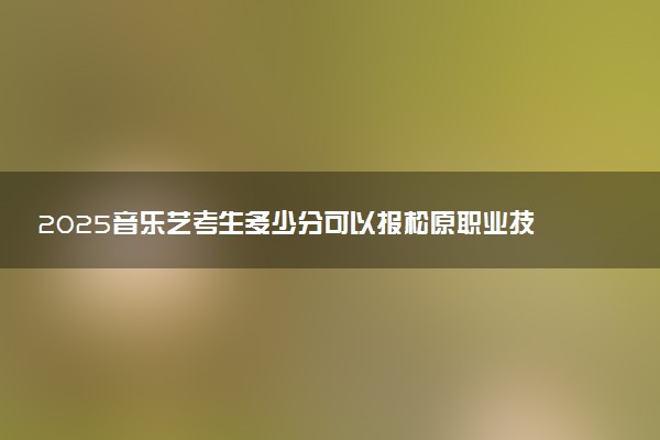 2025音乐艺考生多少分可以报松原职业技术学院