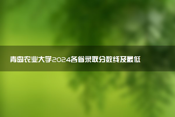 青岛农业大学2024各省录取分数线及最低位次是多少