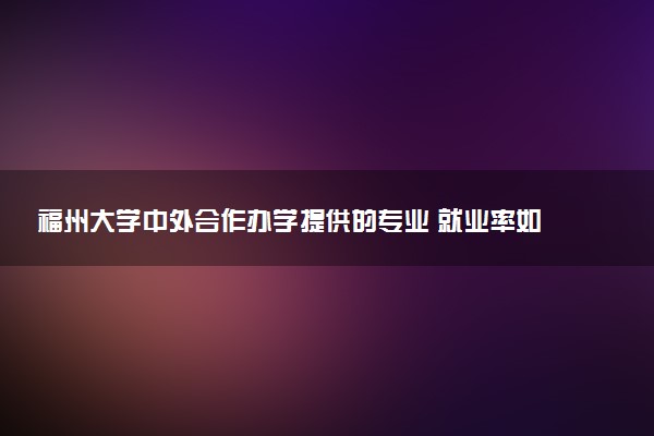 福州大学中外合作办学提供的专业 就业率如何